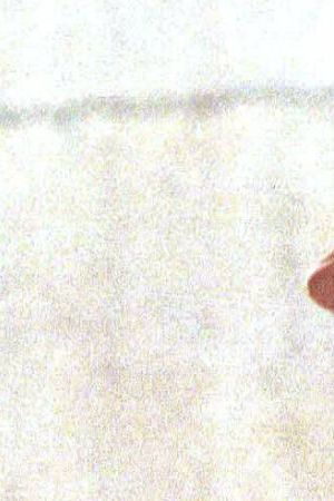 chapo-guzman-1821737