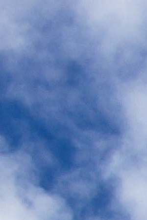 Photo by Andres Virviescas / EyeEm