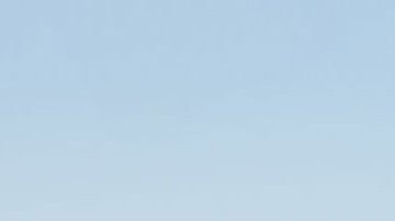 ffc3_web_0 Coppola Plane