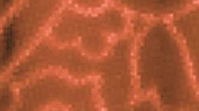 "Our Lady" by Alma Lopez