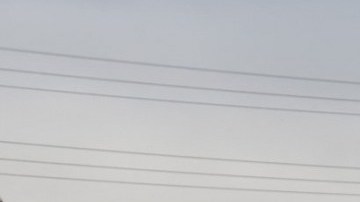 The team at La Panda Productions