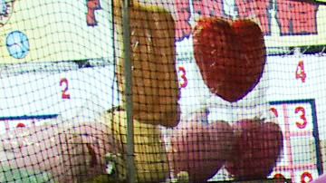 20130827171320-Shih_Still_4