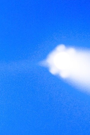 Photo by William Camargo