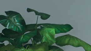 Curb-Your-Enthusiasm-H-1920x1080_0