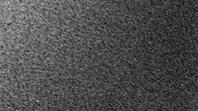 Gabriel García Marquéz with a copy of One Hundred Years of Solitude on his head