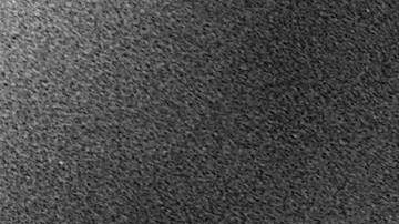 Gabriel García Marquéz with a copy of One Hundred Years of Solitude on his head