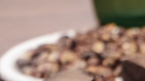 Photo by Alan López for Remezcla