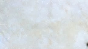 MEX-AN-CHAPO-GUZMAN001-c