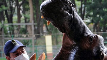 Photo: Huffington Post