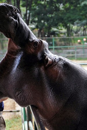 Photo: Huffington Post