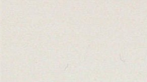 Photo: Máximo R. Colón / Partido Young Lords / ca.1970