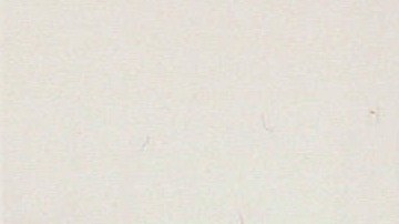 Photo: Máximo R. Colón / Partido Young Lords / ca.1970