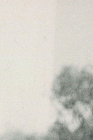 Photo: Máximo R. Colón / Partido Young Lords / ca.1970