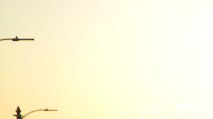 Paul Rodriguez. Photo by Herman Jimenez