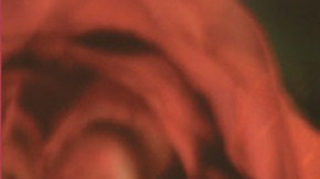 o-selena-quintanilla-facebook