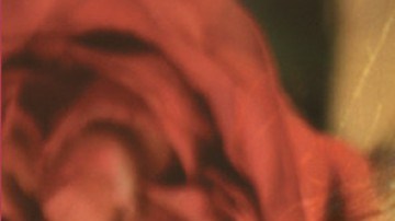 o-selena-quintanilla-facebook