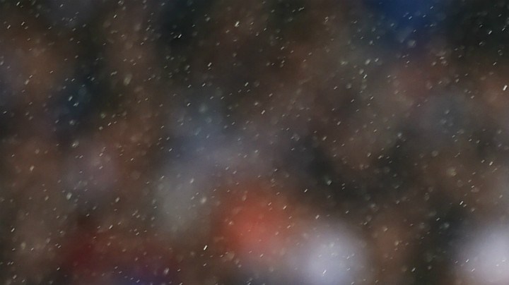 pedritochelsea