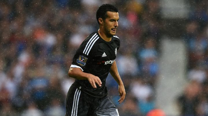 pedritochelsea