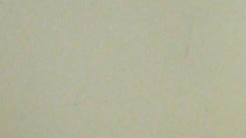 toe-tag-parole-to-live-and-die-on-yard-a-1920