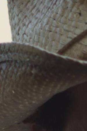 Borderline 10452956_1627755317474975_8450983481961213633_o