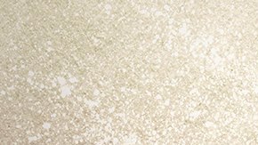 11221349_443773245822701_2811388053186884951_n