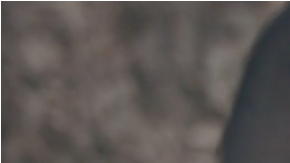 East Los High DACA Screen Shot 2015-09-03 at 2.58.16 PM