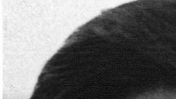 JONLEWIS_9_1 Cesar Chavez Larry D. Itliong