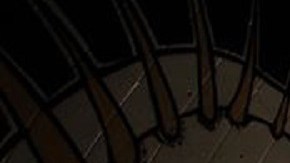 Photo by Tiago Gerolamo