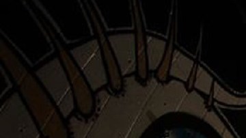 Photo by Tiago Gerolamo