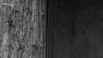 Photo: Pedro E. Guerrero Archives