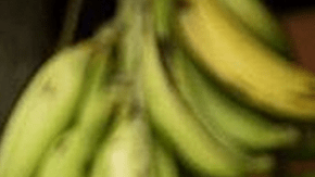 Screen Shot 2015-09-03 at 12.29.37 PM