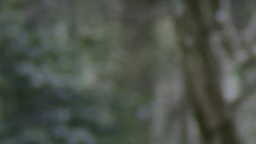 The Moving Creatures Screen Shot 2015-09-04 at 12.33.02 PM