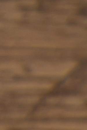 coffee cup with beans on the table