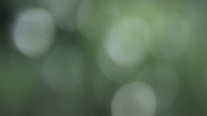 'Dauna. Lo que lleva el río'