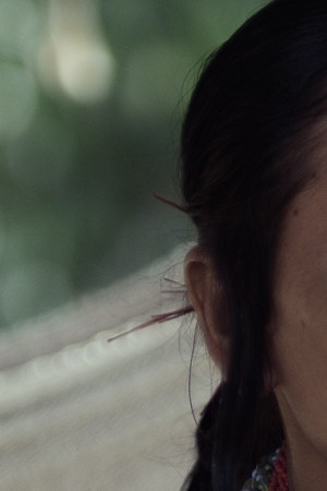 'Dauna. Lo que lleva el río'