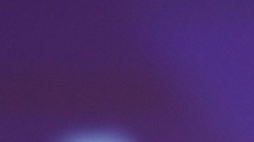 desde alla venice golden lion