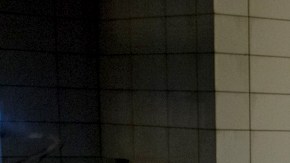 graffititrain-7615_lead bronx