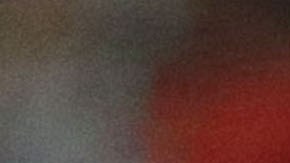 The Dallas Morning News