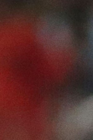 The Dallas Morning News