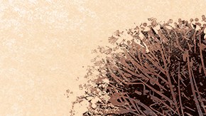 Guillermo Del Toro: In Service of Monsters” Gallery