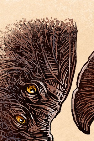 Guillermo Del Toro: In Service of Monsters” Gallery