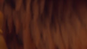 un gallo con muchos huevos