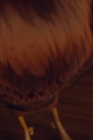 un gallo con muchos huevos