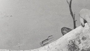 Credit: Lola Álvarez Bravo