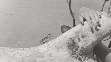 Credit: Lola Álvarez Bravo