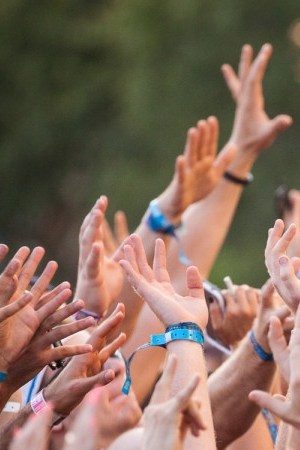 Photo By Wil lRice (lollapalooza.com)