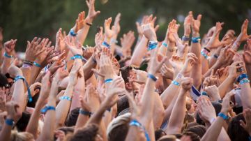 Photo By Wil lRice (lollapalooza.com)