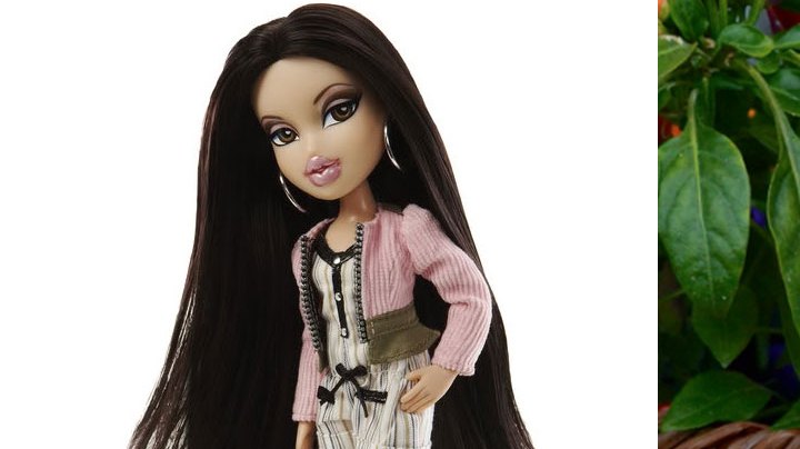 bratz doll frida kahlo
