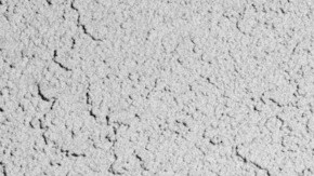 christopher-soto-photo