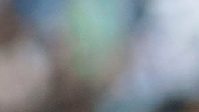 PHOTO/Javier Ramirez.